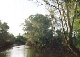 Banksia Park - Accommodation ACT 0