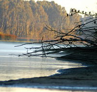 Barmah National Park - Accommodation ACT