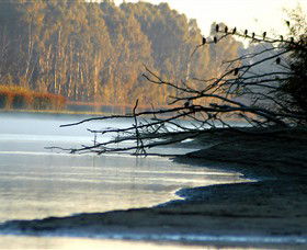 Barmah National Park - Accommodation ACT 0