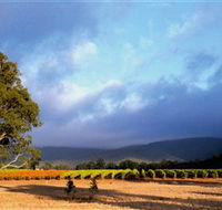 Mount Avoca - Accommodation ACT