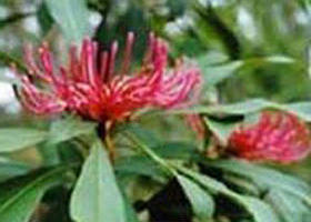 Alfred National Park - Accommodation ACT 0