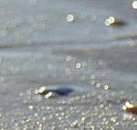 Cape Liptrap Coastal Park - Accommodation ACT