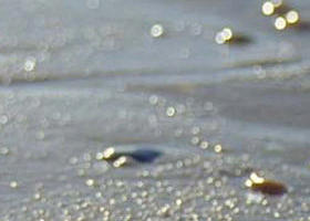 Cape Liptrap Coastal Park - Accommodation ACT 0