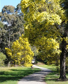 Wattle Park - Accommodation ACT 0