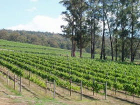 Ada VIC Accommodation ACT