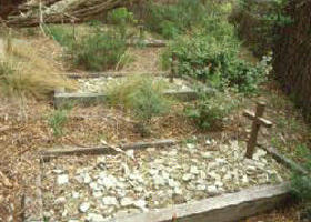 Collins Settlement Historic Site - Accommodation ACT 0