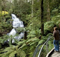 Great Otway National Park - Accommodation ACT