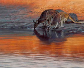 Steve Morvell Wildlife Art - Accommodation ACT 0