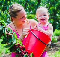 Cherryhill Orchards - Accommodation ACT