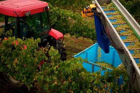 GREENSTONE VINEYARDS - Accommodation ACT 3