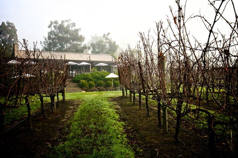 GREENSTONE VINEYARDS - Accommodation ACT 4