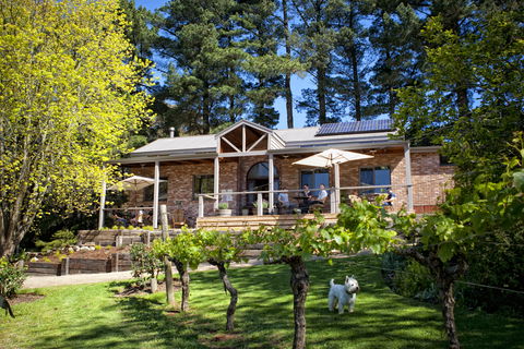 Main Ridge Estate - Accommodation ACT 2