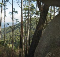 Gulaga National Park - Accommodation ACT