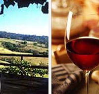 Jasper Valley Wines and Vines Cafe - Accommodation ACT