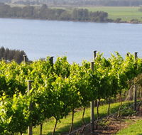 Two Figs Winery - Accommodation ACT