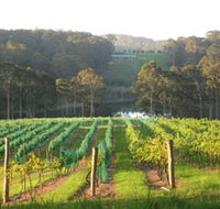 Tilba Valley Wines - Accommodation ACT