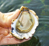 The Oyster Pot - Accommodation ACT