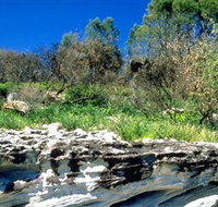 Abrahams Bosom Reserve - Accommodation ACT