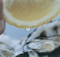 Pearly Oyster Bar and Farm - Accommodation ACT