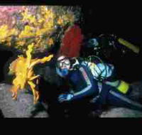 Solitary Islands Marine Park - Accommodation ACT