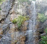 Wedding Bells Forest Drive - Accommodation ACT