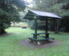 Pine Creek State Forest - Accommodation ACT 0