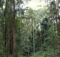 Bongil Bongil National Park - Accommodation ACT