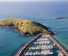 Muttonbird Island Nature Reserve - Accommodation ACT 0