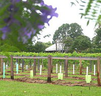 Douglas Vale Historic Homestead  Vineyard - Accommodation ACT