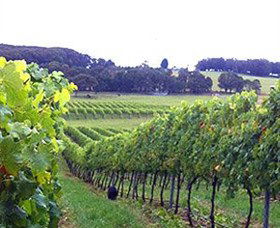 Big Hill NSW Accommodation ACT