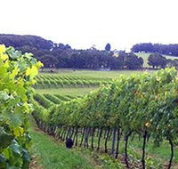 Banjo's Run Winery and Vineyard - Accommodation ACT