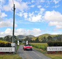 Sarabah Estate Vineyard - Accommodation ACT
