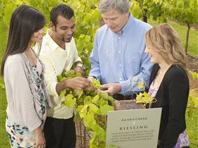 Jacob's Creek Vineyard Tour - Accommodation ACT 0
