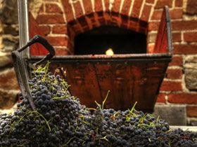 Rockford Wines - Accommodation ACT 2