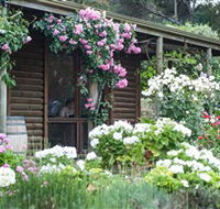 Lavina Wines - Accommodation ACT
