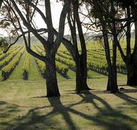 Henry's Drive Vignerons - Accommodation ACT