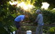 Oakdene Vineyards Restaurant And Cellar Door - thumb 0