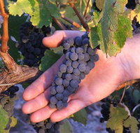 Eagles Rise Wine - Accommodation ACT
