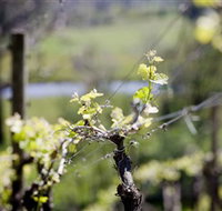 Barrgowan Vineyard - Accommodation ACT