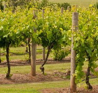 Mt Coghill Vineyard - Accommodation ACT
