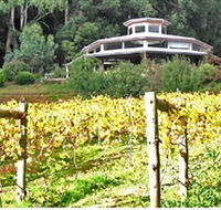 Peveril Vineyard/Beechy Berries - Accommodation ACT