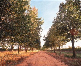 Water Wheel Vineyards - Accommodation ACT 1