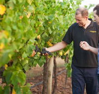 Fratin Brothers Vineyard - Accommodation ACT
