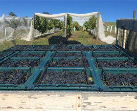 Three Willows Vineyard - Accommodation ACT 1