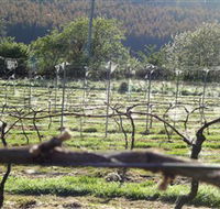 Three Willows Vineyard - Accommodation ACT
