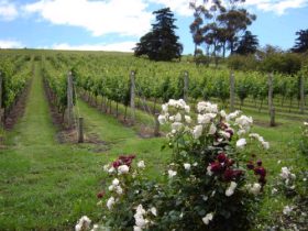 Canberra And Surrounds ACT Accommodation ACT