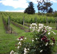 Pembroke Estate Vineyard - Accommodation ACT