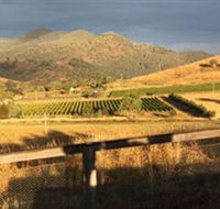 Optimiste Wines - Accommodation ACT