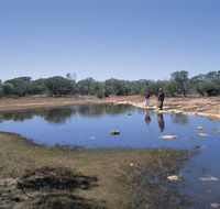 Camel Soak - Accommodation ACT