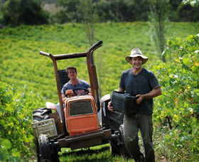 Kellybrook Winery, Kelly Brothers Cider & Riders Brew Co. - Accommodation ACT 0